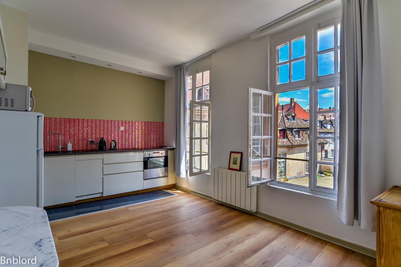 Bel Appartement Hypercentre De Štrasburk Exteriér fotografie